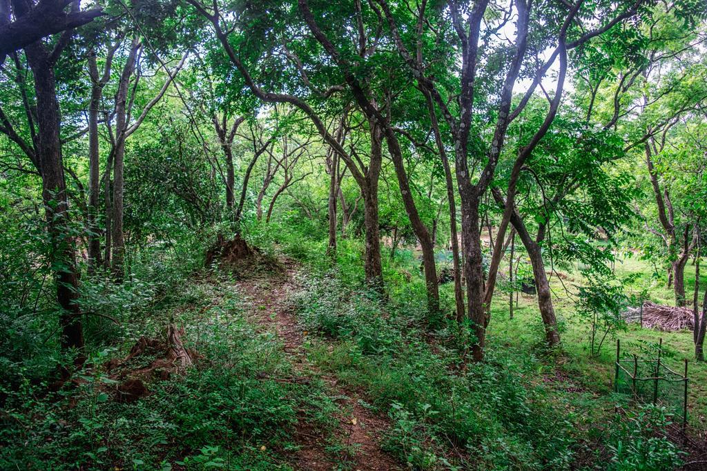 Vila Wildescape Polonnaruwa Exteriér fotografie