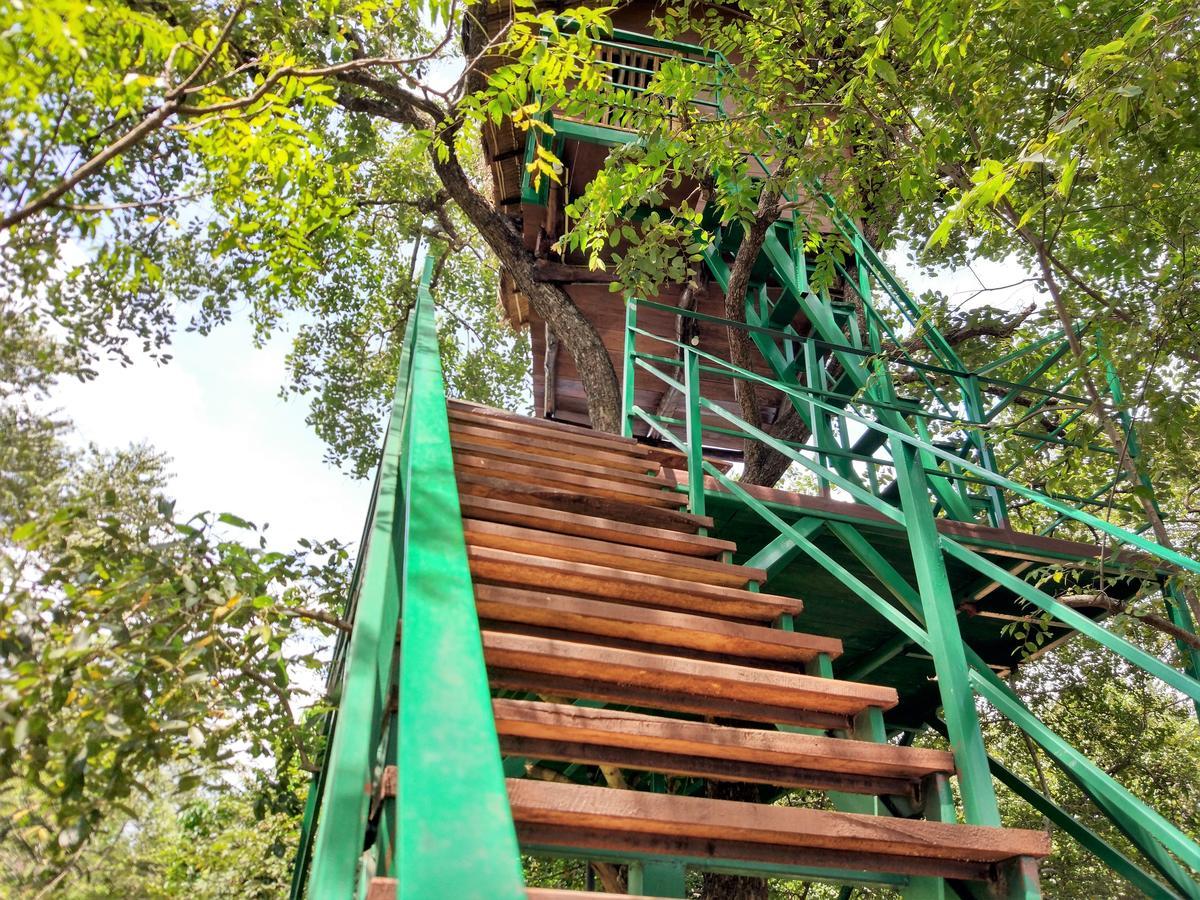 Vila Wildescape Polonnaruwa Exteriér fotografie