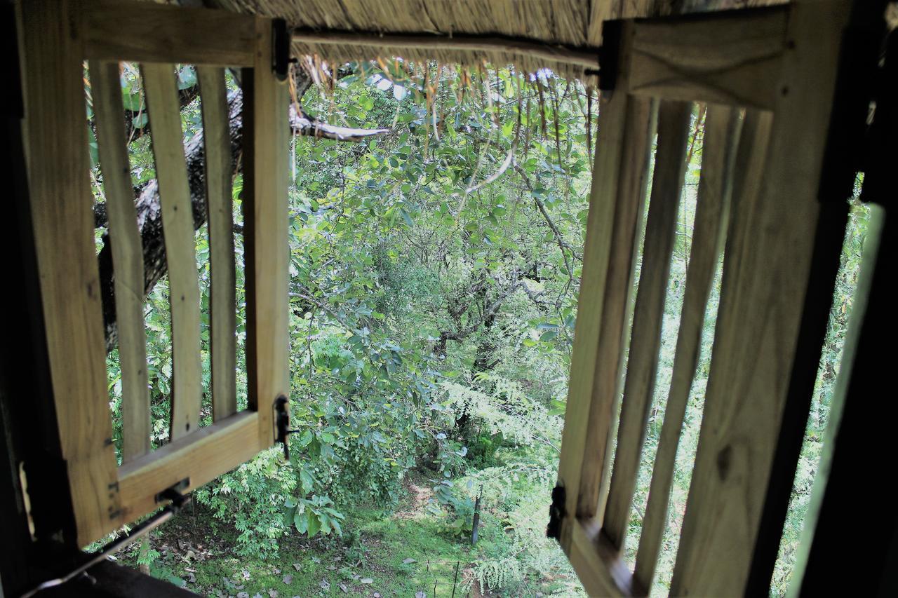 Vila Wildescape Polonnaruwa Exteriér fotografie